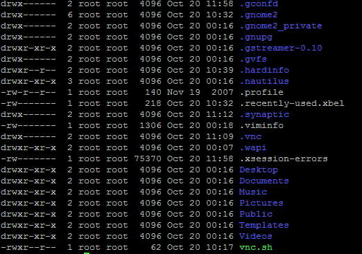 ssh shell vps ubuntu